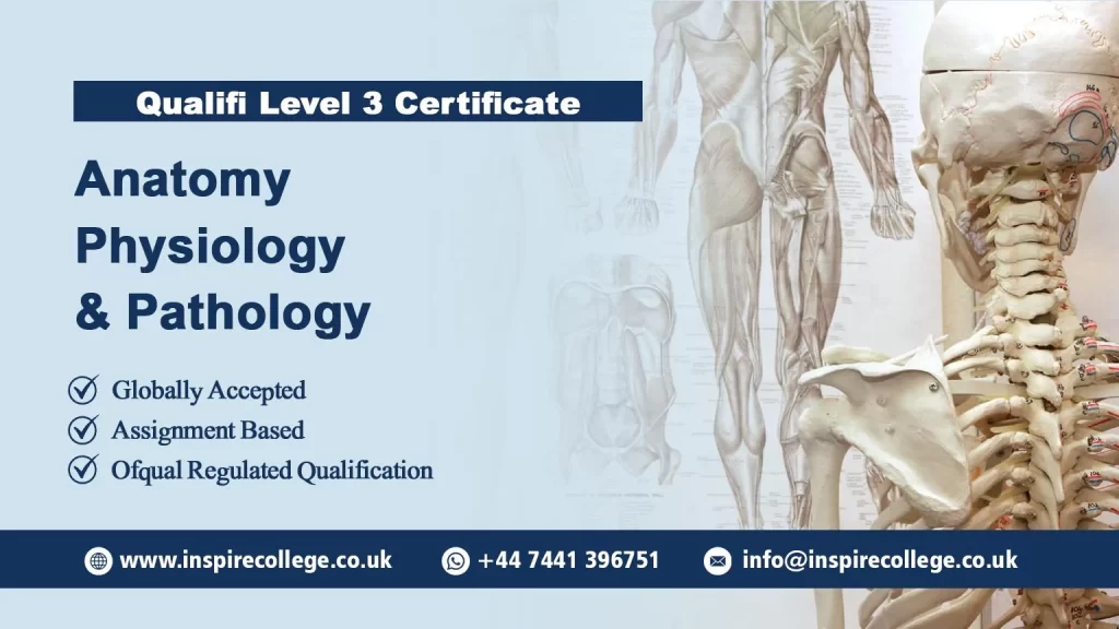 Qualifi Level 3 Certificate in Anatomy, Physiology and Pathology