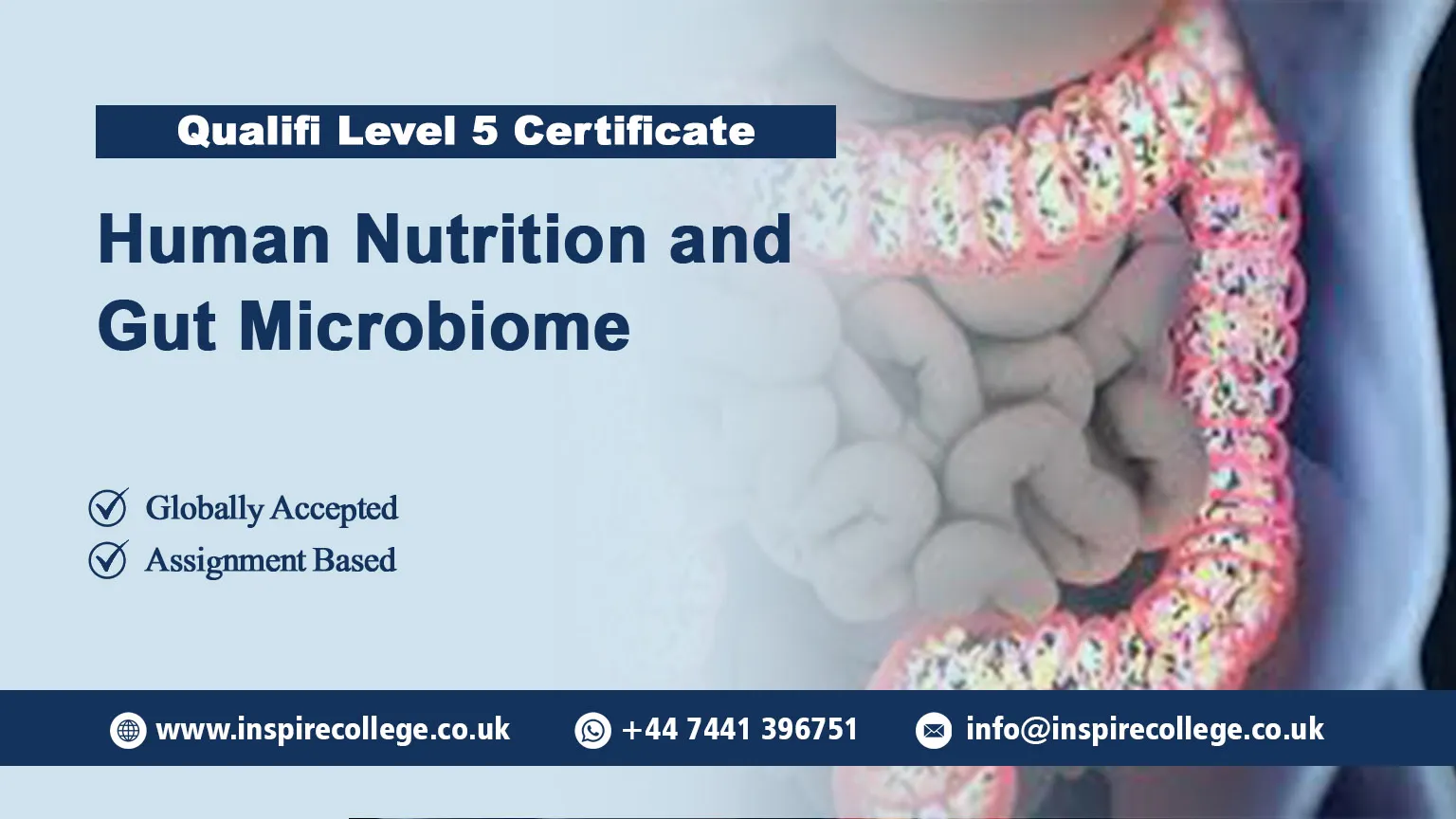 Qualifi Level 5 Certificate in Human Nutrition and Gut Microbiome