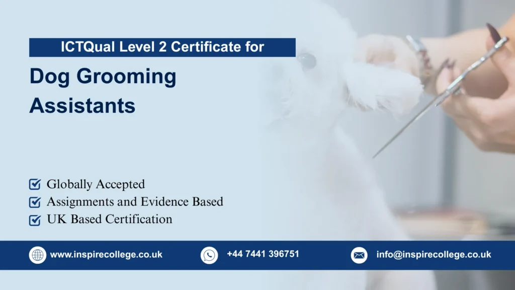 ICTQual Level 2 Certificate for Dog Grooming Assistants