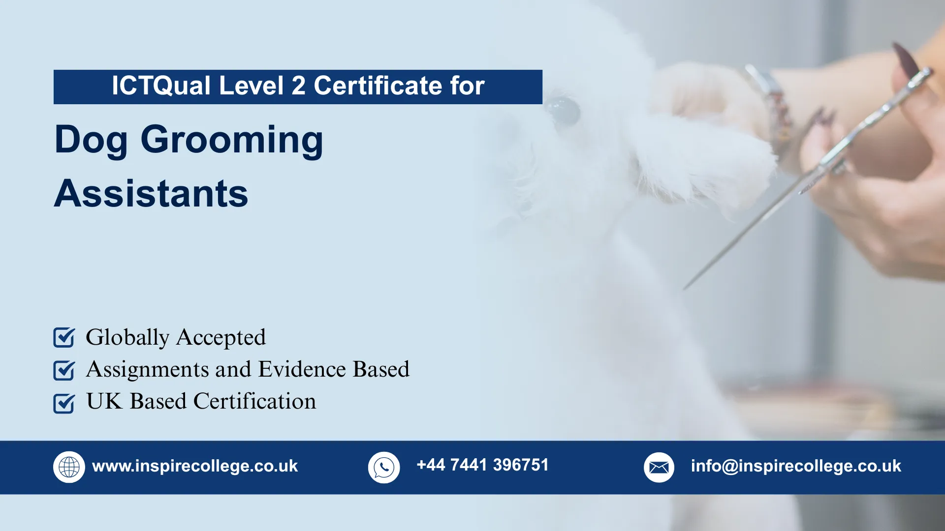 ICTQual Level 2 Certificate for Dog Grooming Assistants