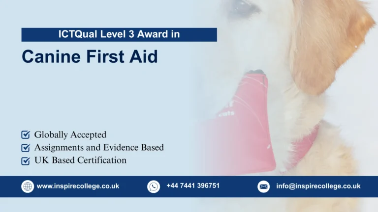 ICTQual Level 3 Award in Canine First Aid