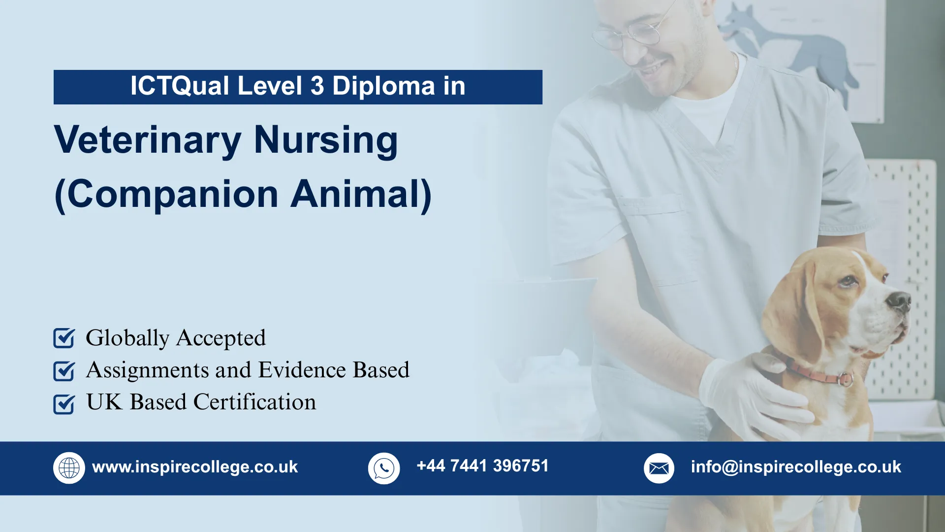 ICTQual Level 3 Diploma in Veterinary Nursing (Companion Animal)