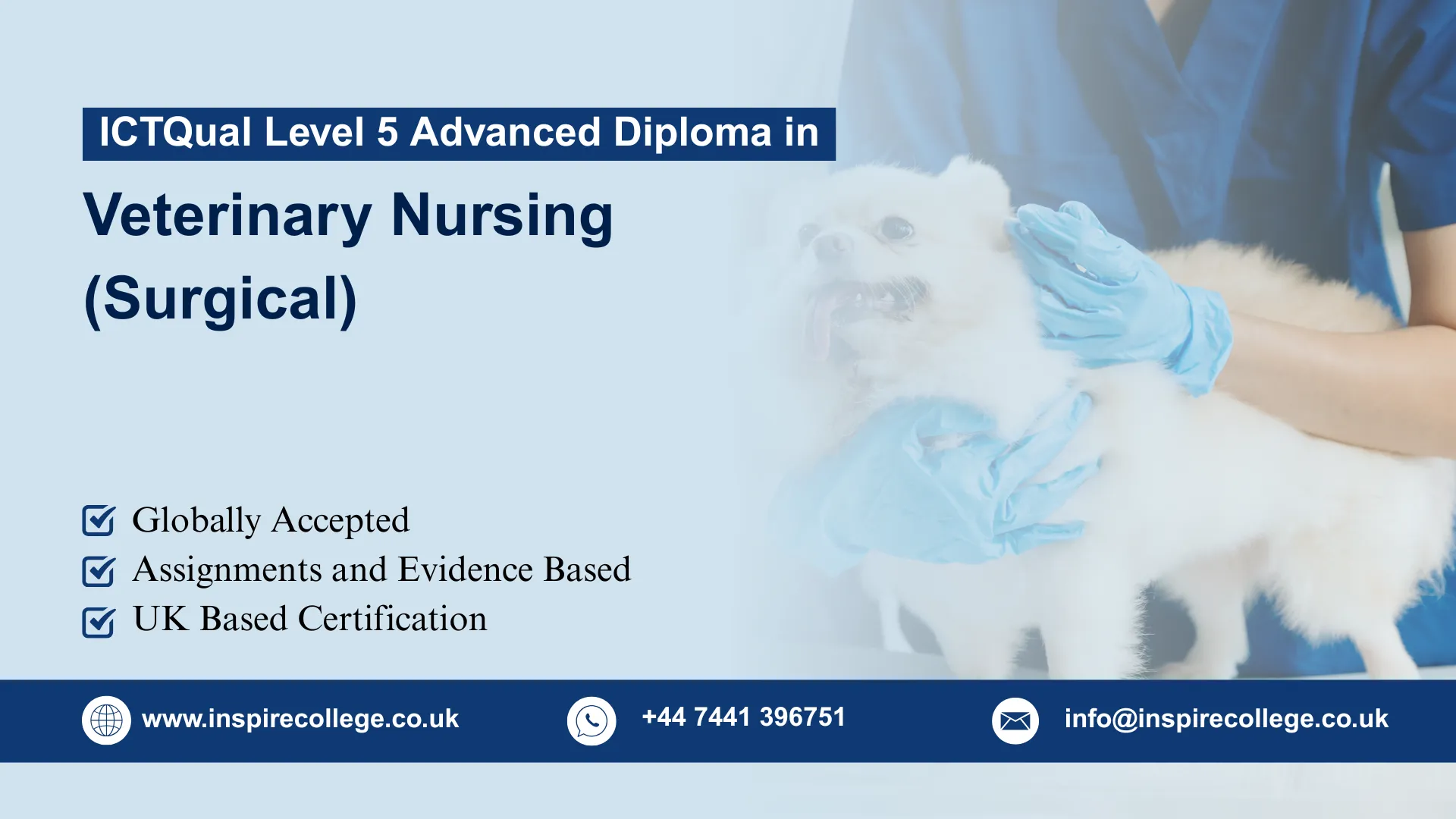 ICTQual Level 5 Advanced Diploma in Veterinary Nursing (Surgical)