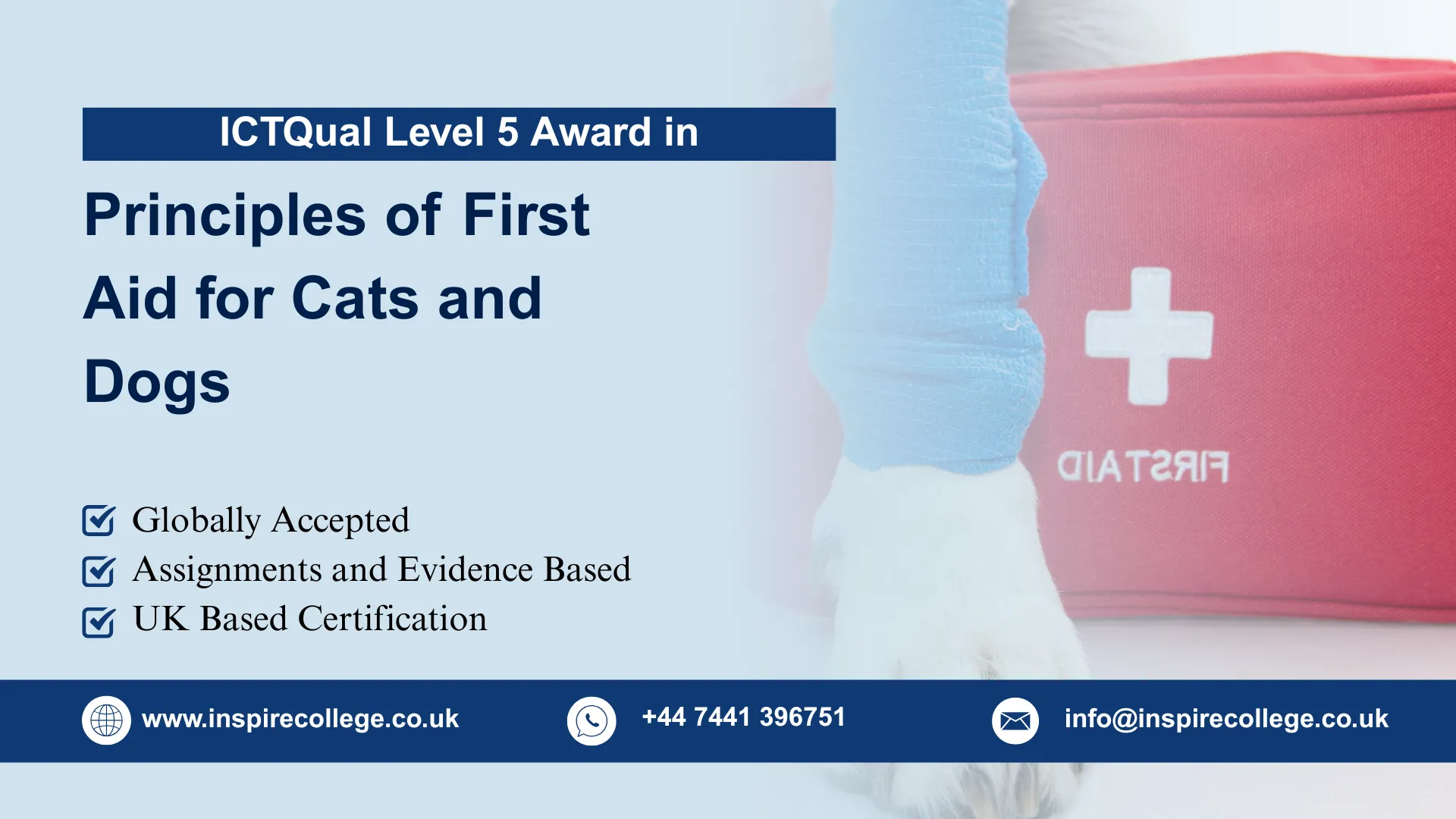 ICTQual Level 5 Award in Principles of First Aid for Cats and Dogs