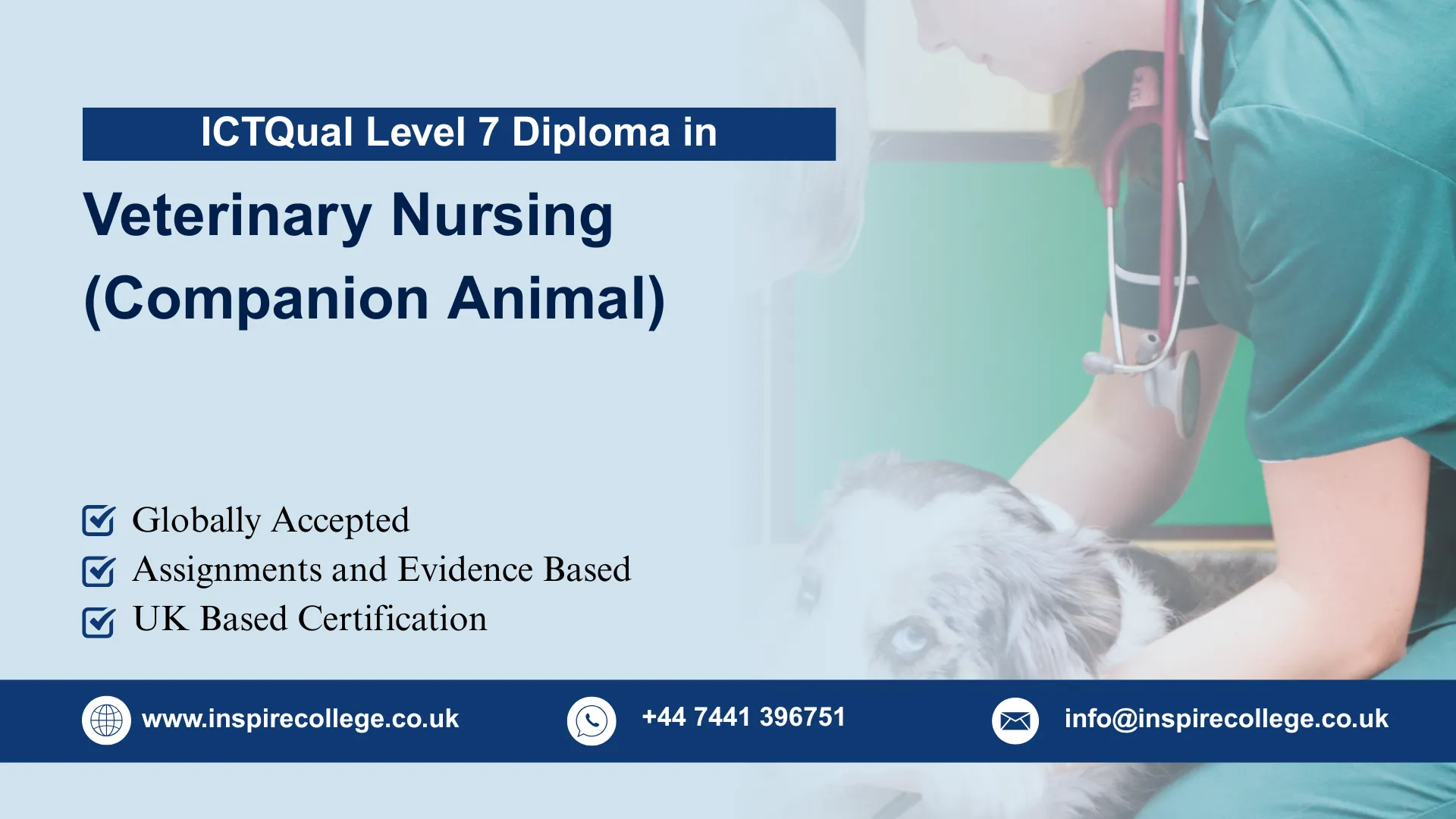 ICTQual Level 7 Diploma in Veterinary Nursing (Companion Animal)