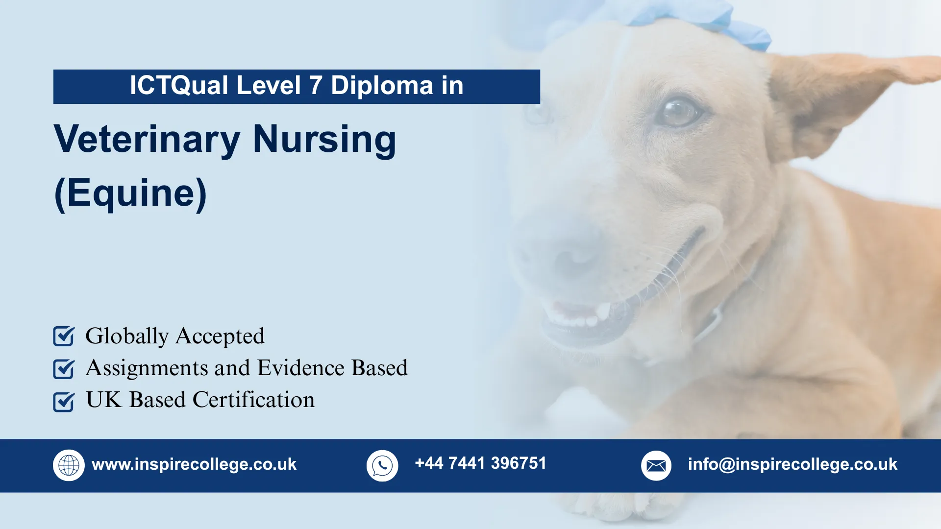 ICTQual Level 7 Diploma in Veterinary Nursing (Equine)