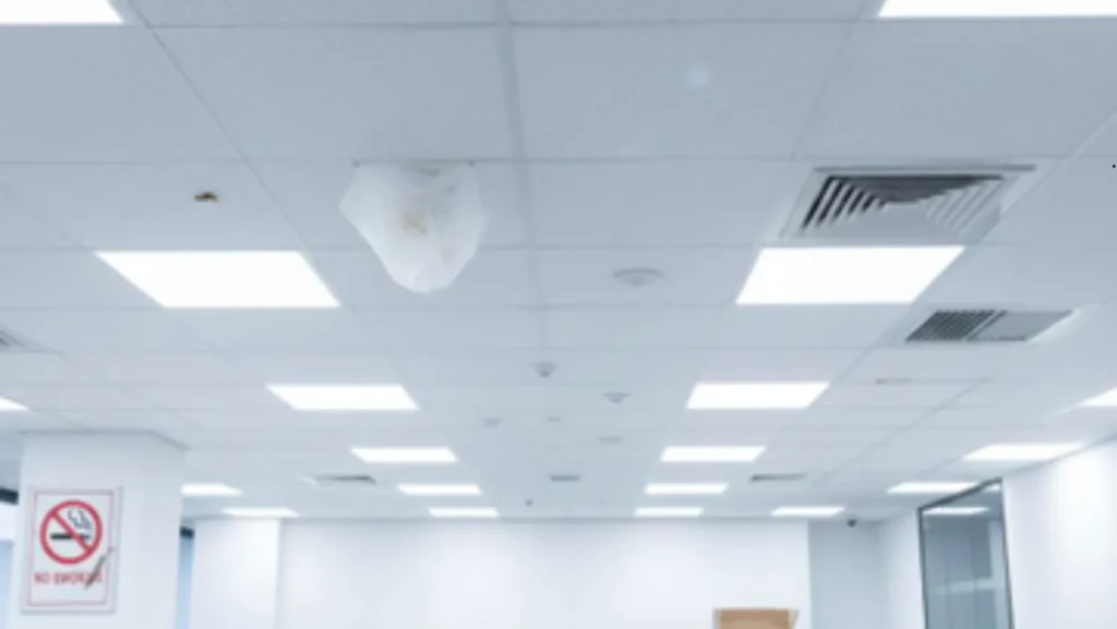 Workplace Safety Through Scenario‑Based Decisions 2