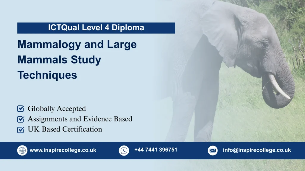 ICTQual Level 4 Diploma in Mammalogy and Large Mammals Study Techniques