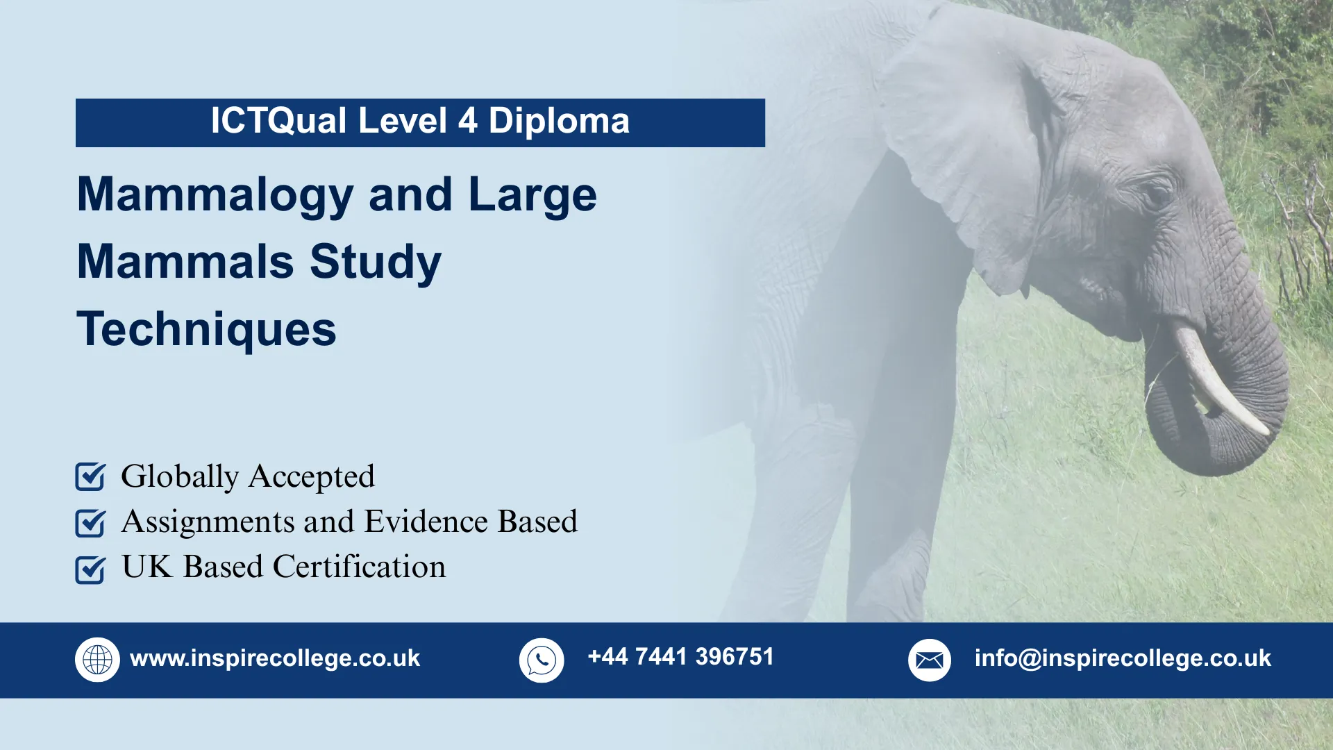 ICTQual Level 4 Diploma in Mammalogy and Large Mammals Study Techniques