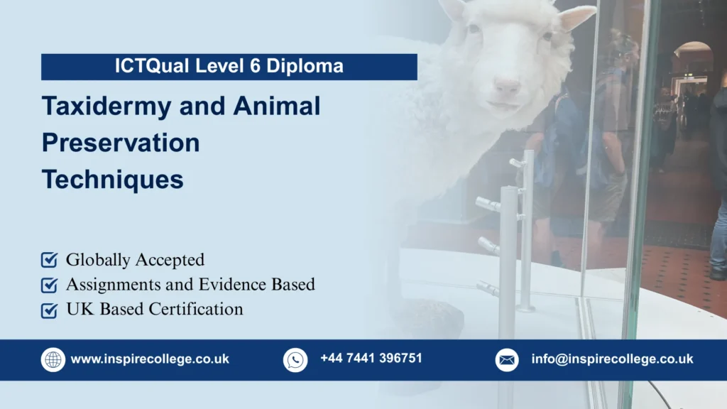ICTQual Level 6 Diploma in Taxidermy and Animal Preservation Techniques