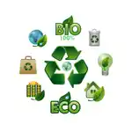 Environmental Management